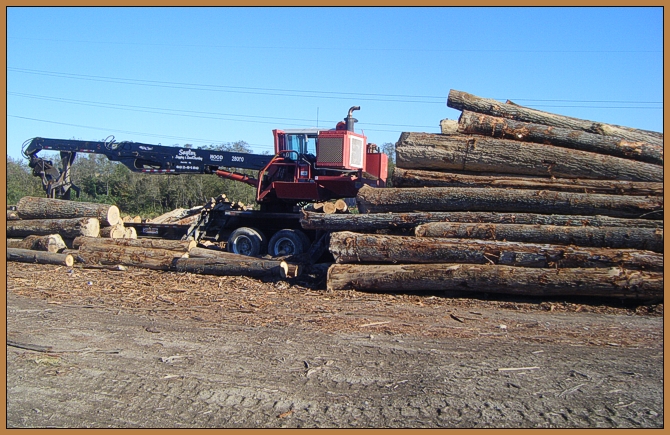 About Saylor Logging